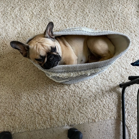 Meet your Posher, Tessa - Picture 10 of 11